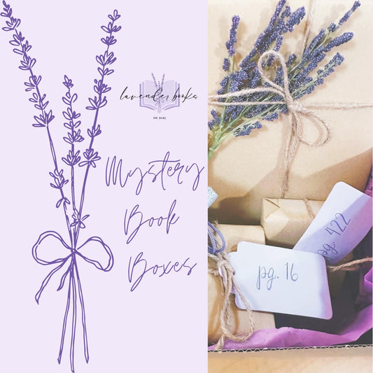 Mystery Book Box